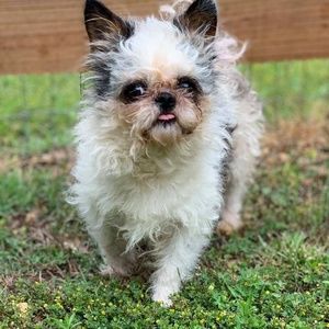 Meet your Posher, Zoe